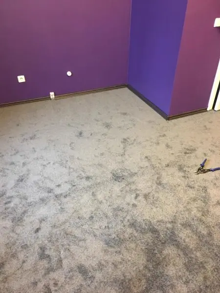 Carpet repair services Ottawa