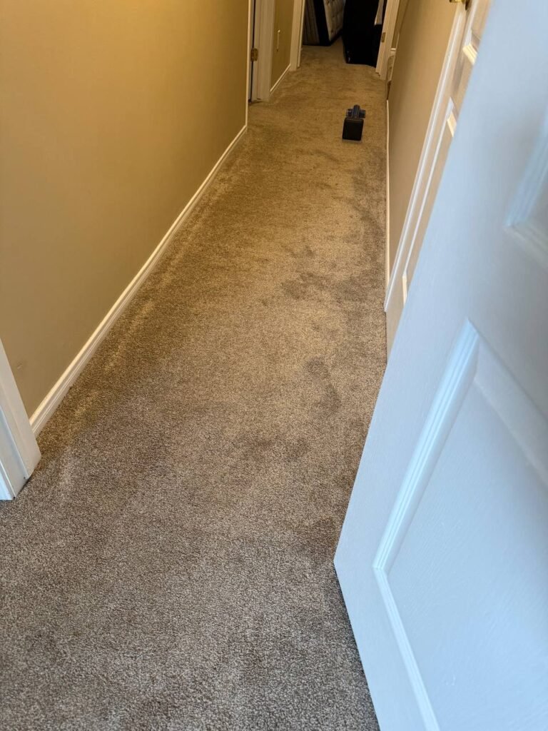 Carpet Re-Stretching & Seam Repair in Kanata – 70 Sq Ft + Stairs