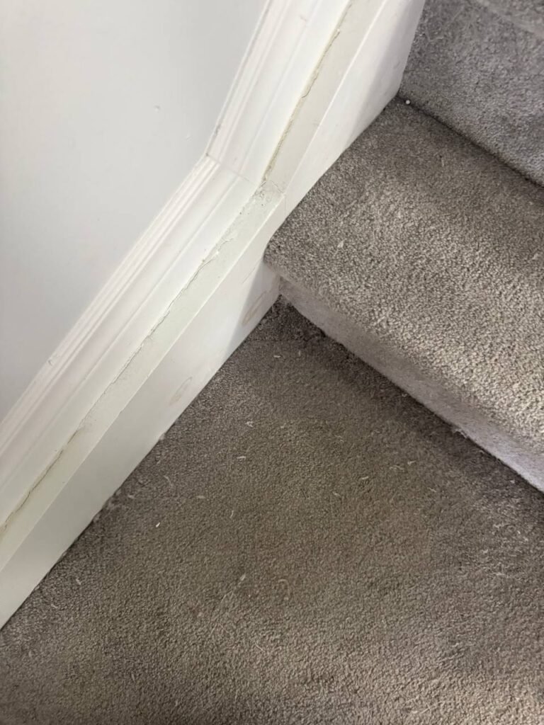 Carpet Repair, Stretching & Patching in Stittsville – 10 sq ft Area Restoration