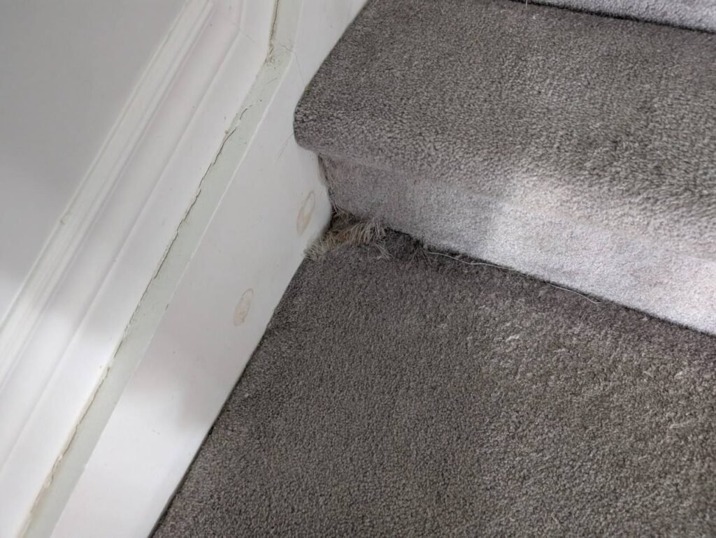 Carpet Repair, Stretching & Patching in Stittsville – 10 sq ft Area Restoration