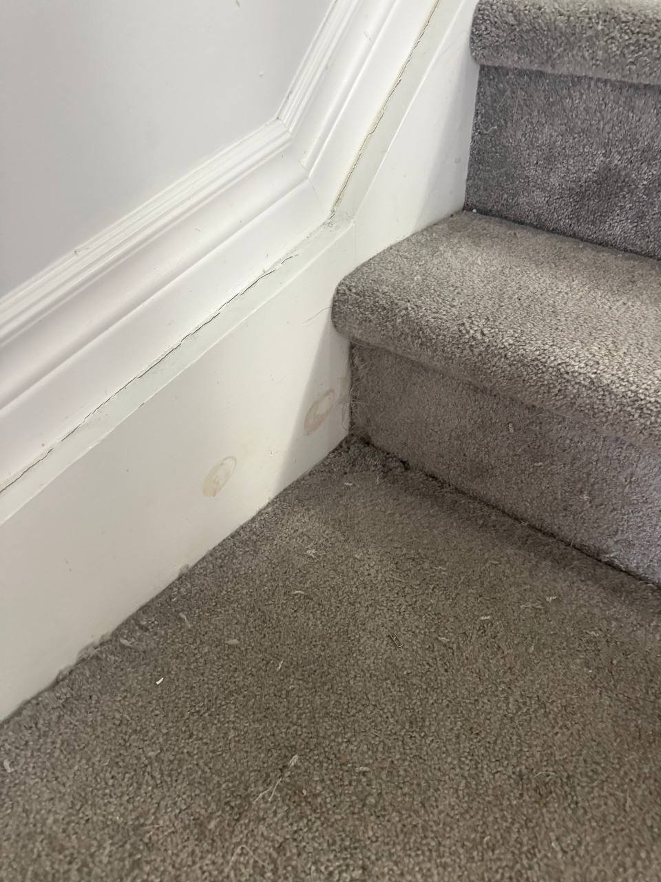 Réparation, étirement et rapiéçage de tapis à Stittsville – restauration d’une surface de 10 pi²
