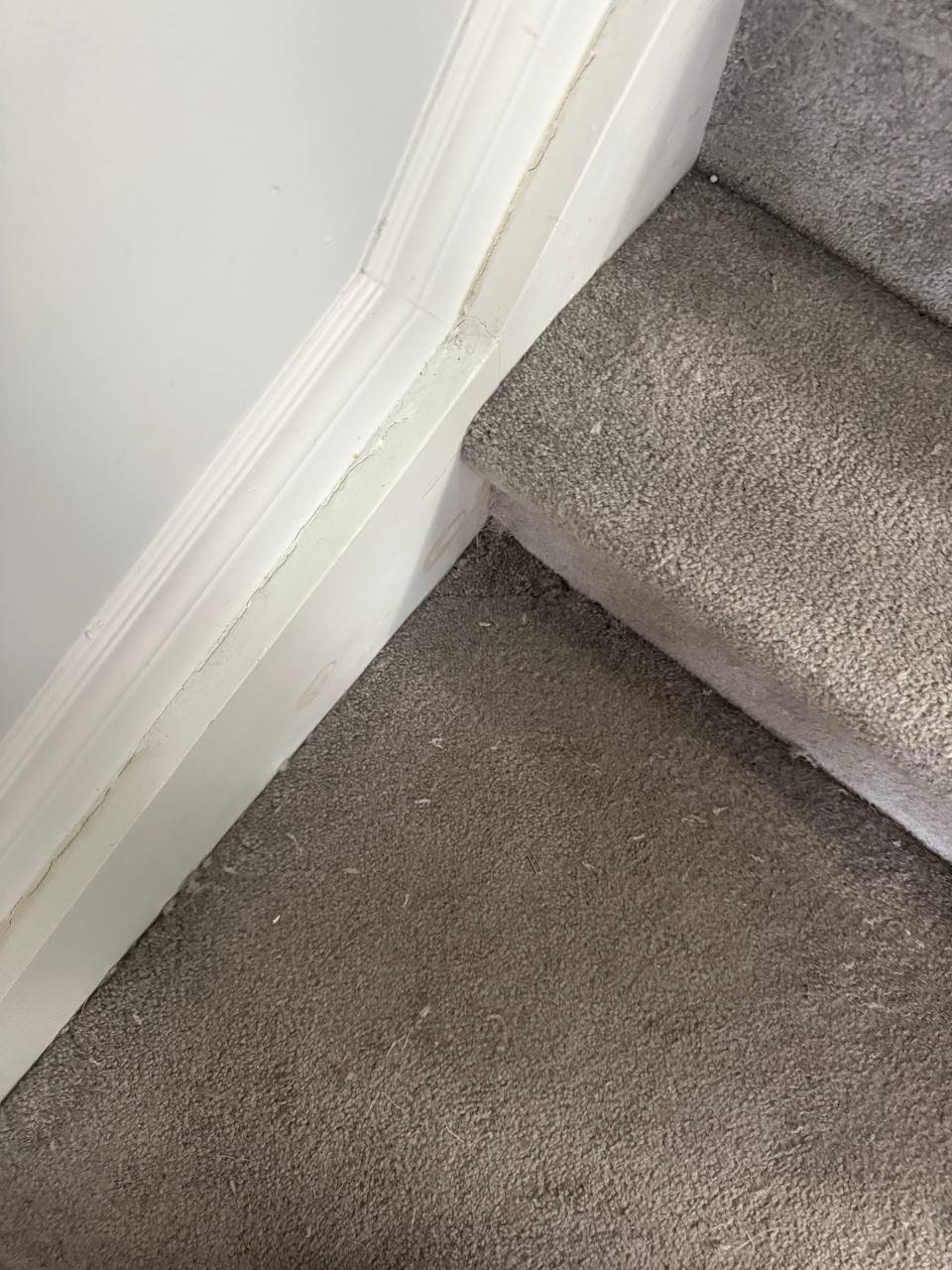 Réparation, étirement et rapiéçage de tapis à Stittsville – restauration d’une surface de 10 pi²