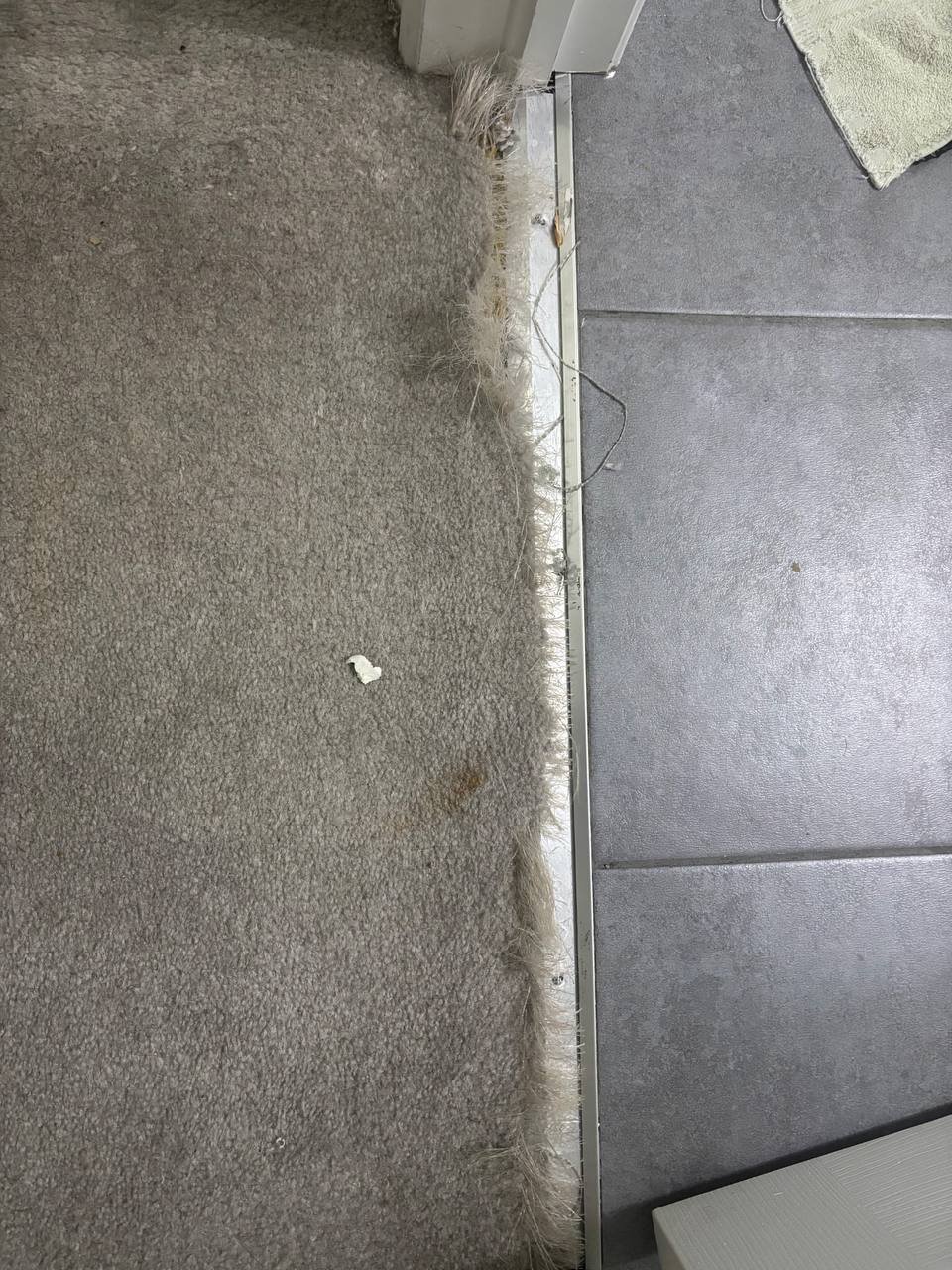 Réparation, étirement et rapiéçage de tapis à Stittsville – restauration d’une surface de 10 pi²