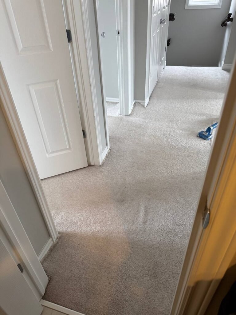 Full Home Carpet Stretching – 3,214 sq ft (3 Bedroom + Hallway)