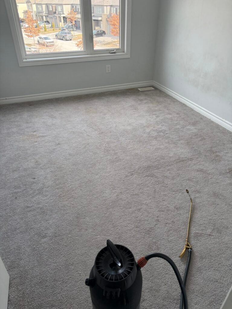 Carpet Cleaning Service