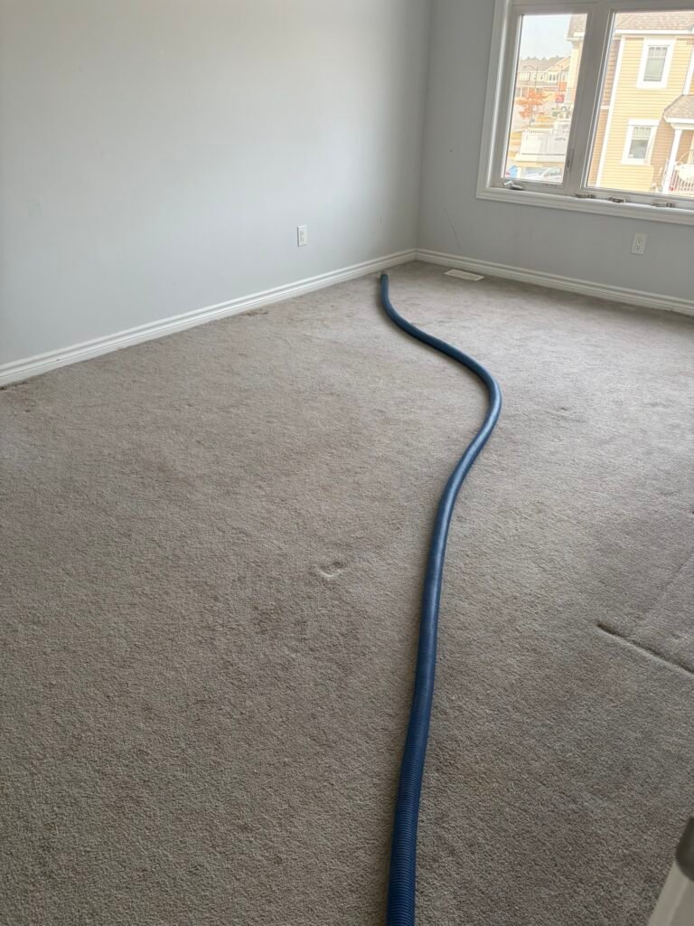 Carpet Cleaning Service, Deep Cleaning & Restoration