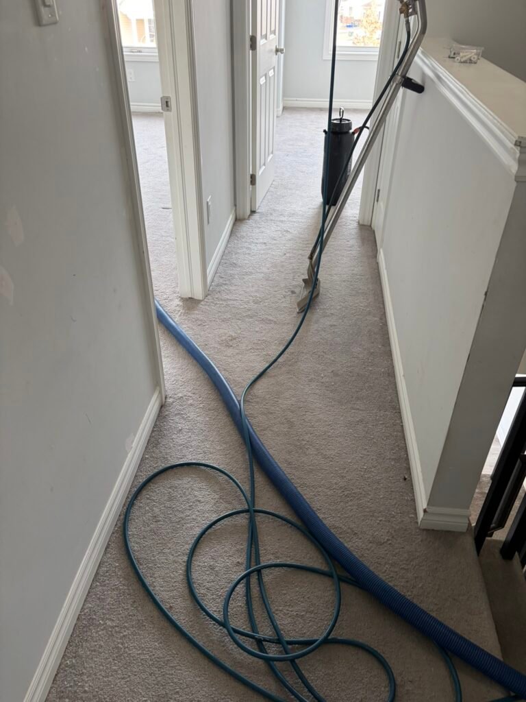 Carpet Cleaning Service, Deep Cleaning & Restoration