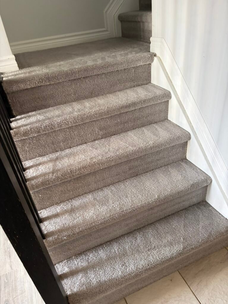 Carpet Cleaning Service, Deep Cleaning & Restoration