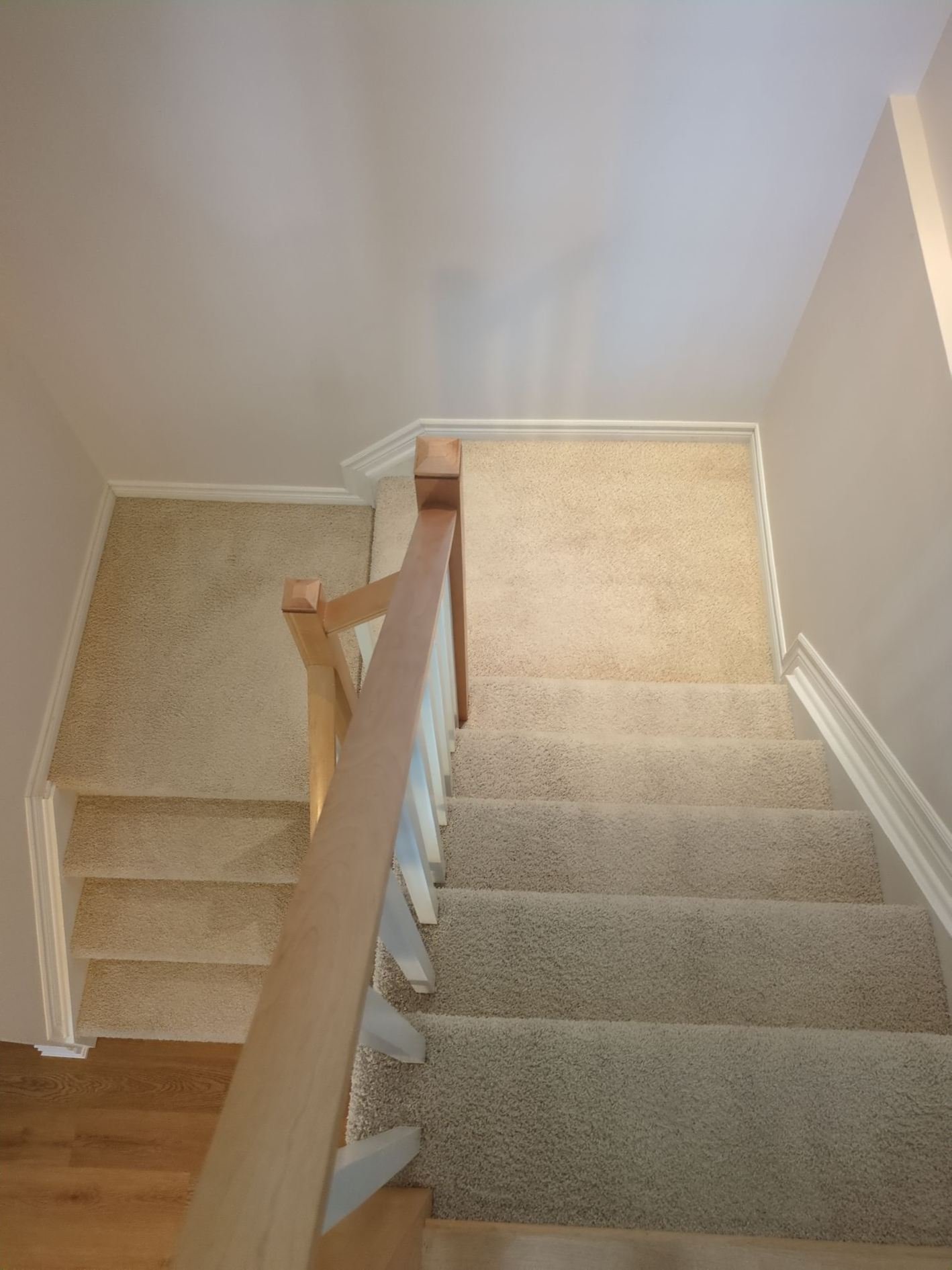 Findlay Creek carpet services