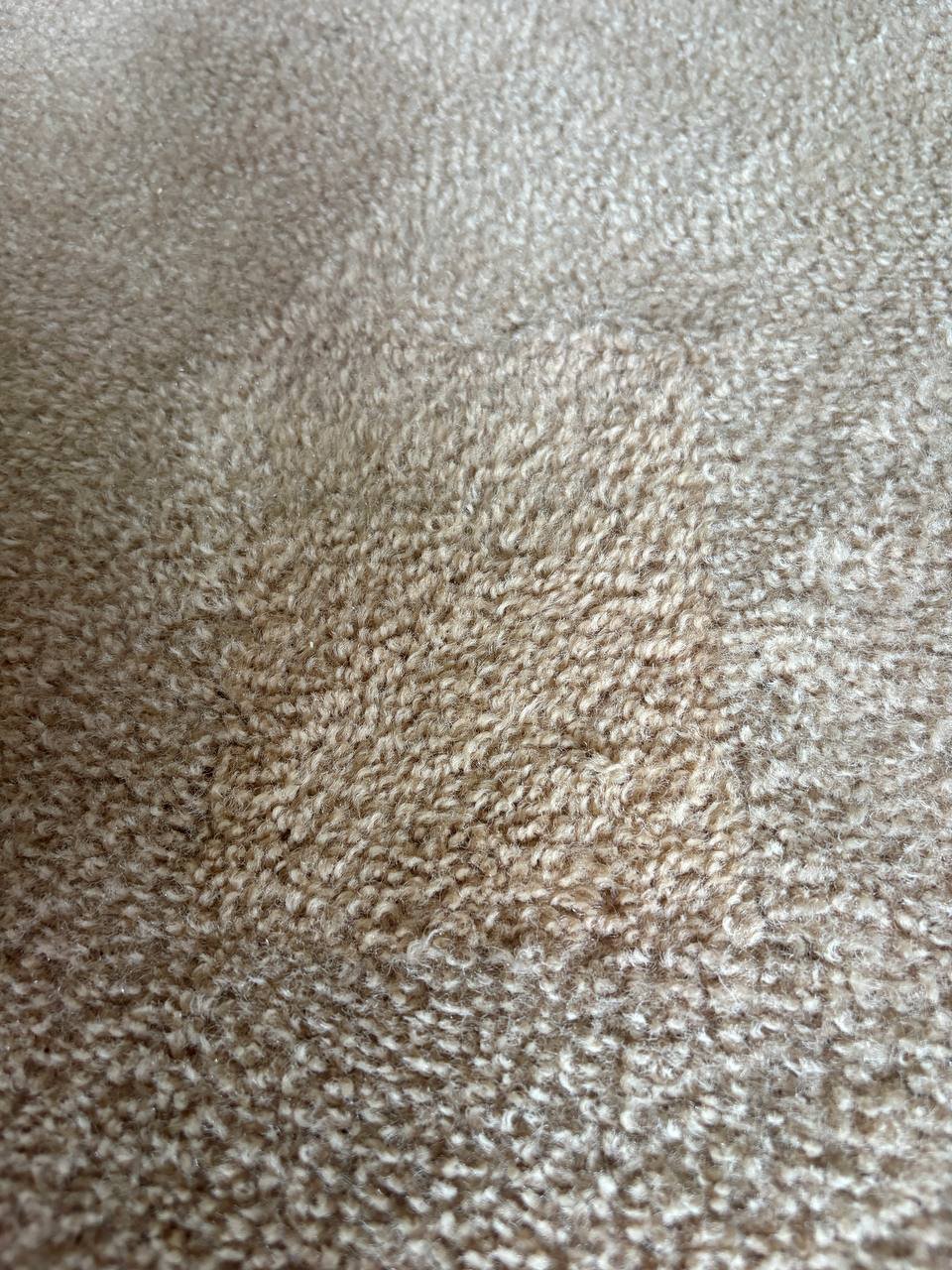 Small Carpet Repair Project in Kanata