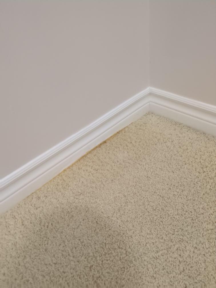 Staircase Carpet & Baseboard Restoration Project in Findlay Creek