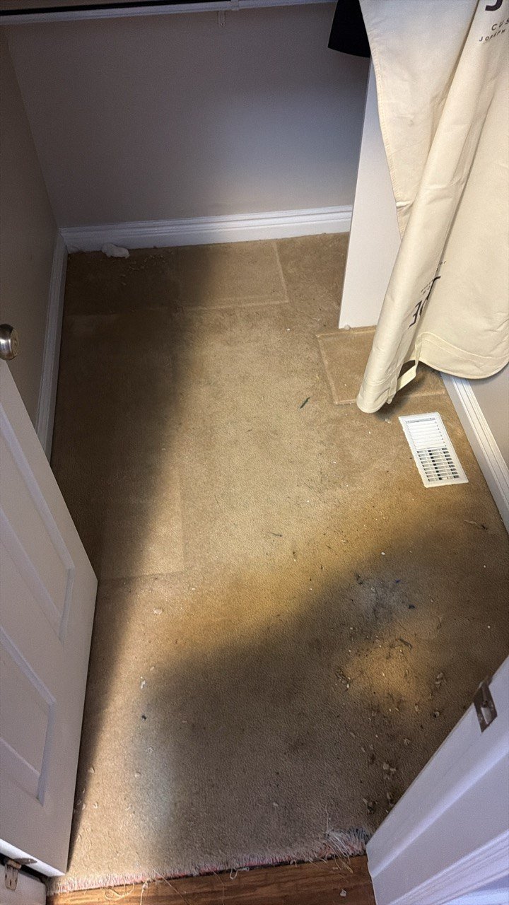 Carpet Replacement