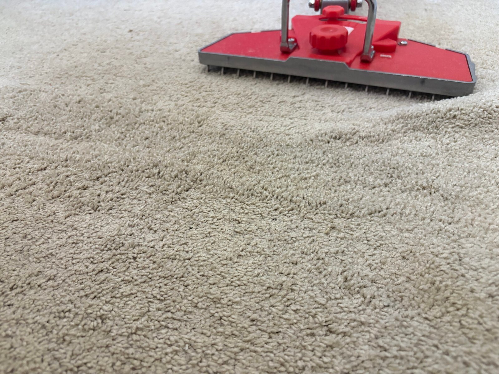 carpet installation orleans