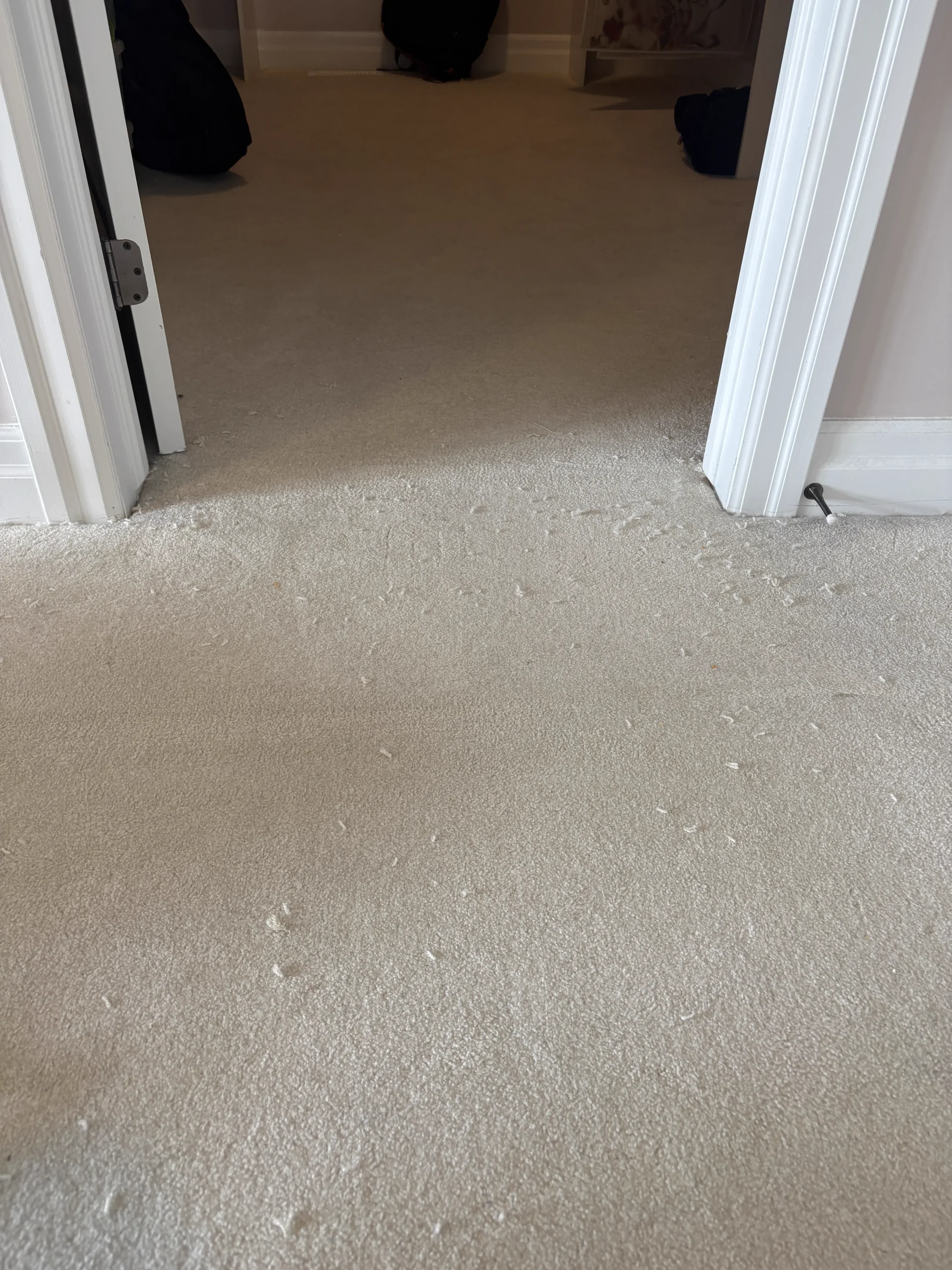 Full-Home Carpet Stretching in Kanata – Buckle & Ripple Removal on Stairs and Upper Level