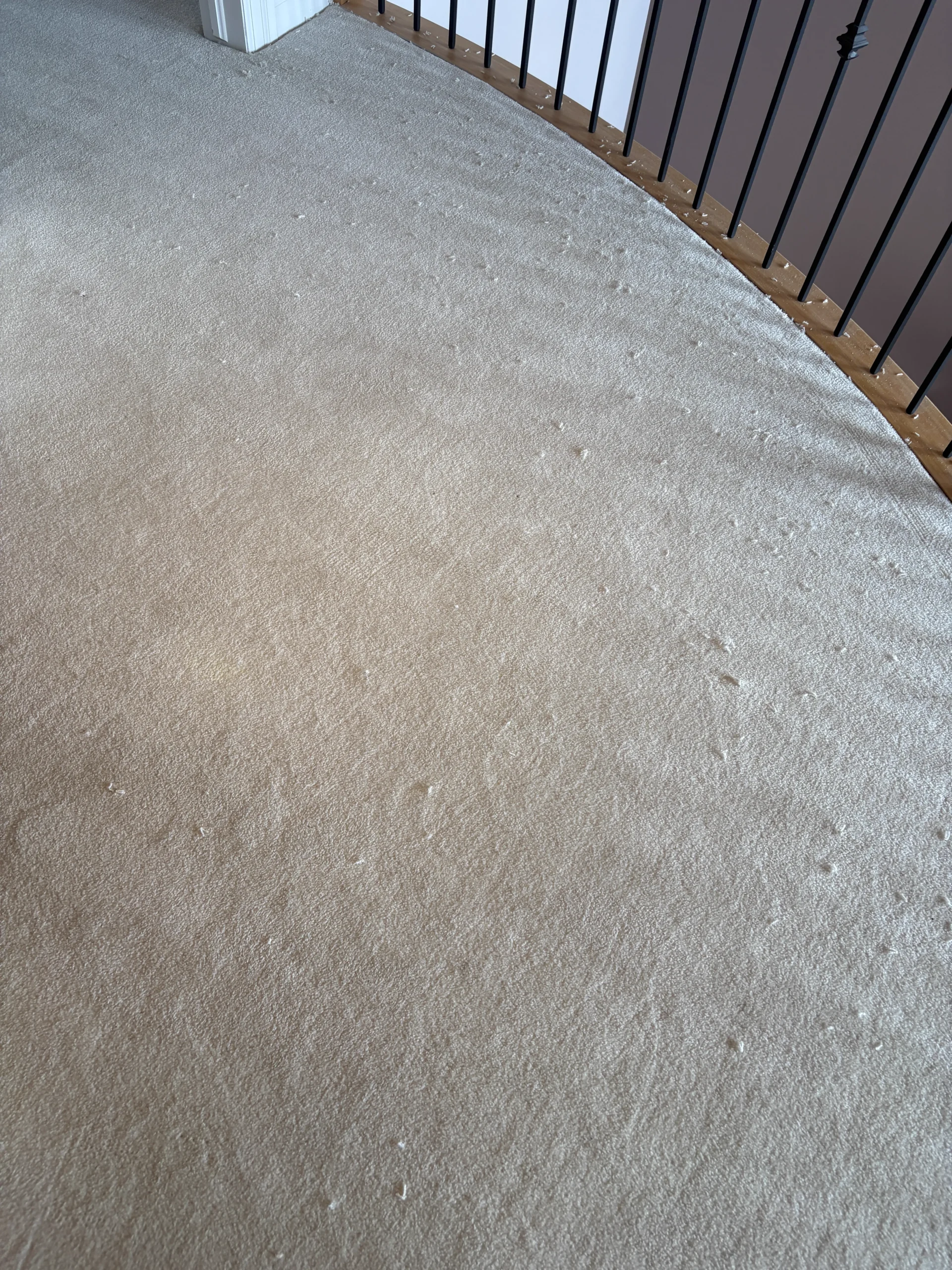 Full-Home Carpet Stretching in Kanata – Buckle & Ripple Removal on Stairs and Upper Level