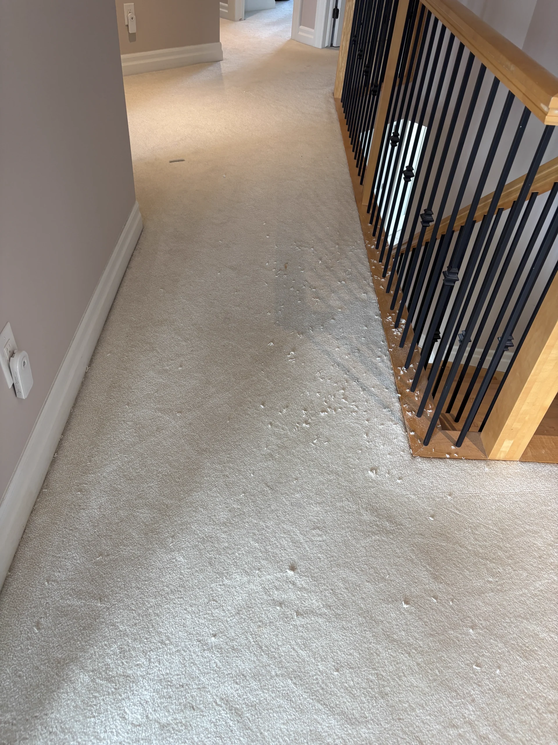 Full-Home Carpet Stretching in Kanata – Buckle & Ripple Removal on Stairs and Upper Level